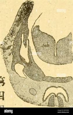 那曲小游戏代理加盟及手游代理网络技术开发全解析