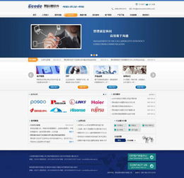 探索软件公司的多元世界 聚焦网络技术开发